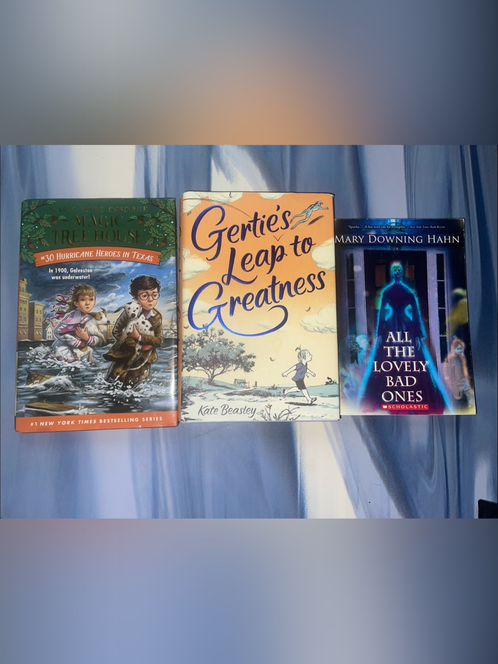 Middle School Chapter Books - Hard Cover